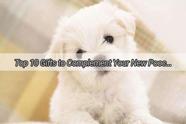 Top 10 Gifts to Complement Your New Pooch A TailWagging Celebration